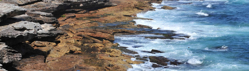 Southerly Real Estate